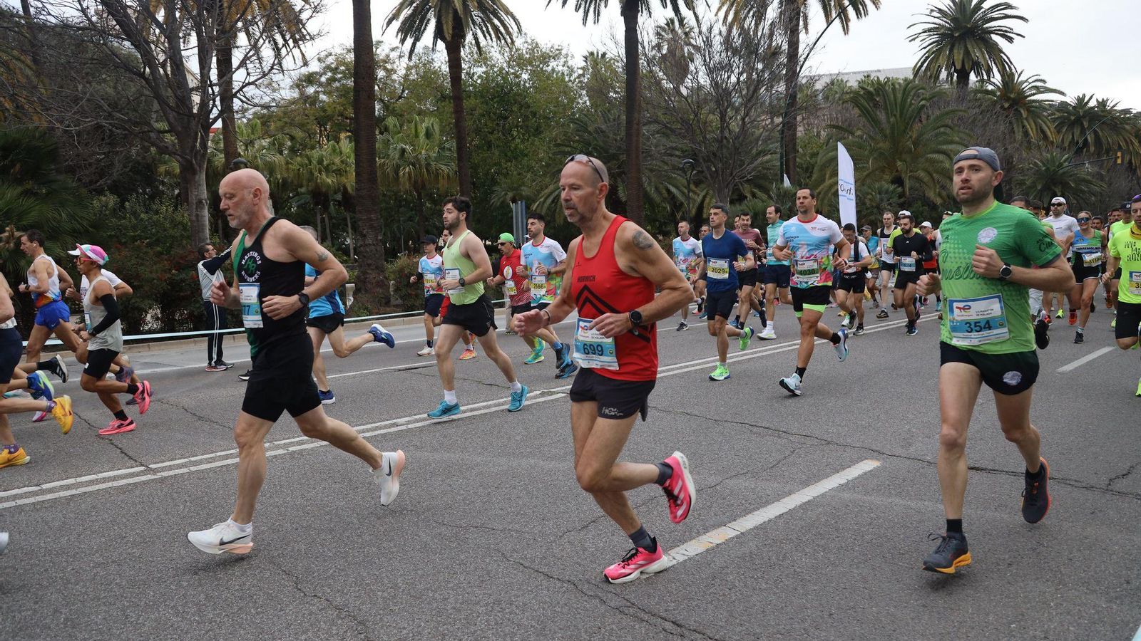 La Media Maratón de Málaga 2025, en fotos