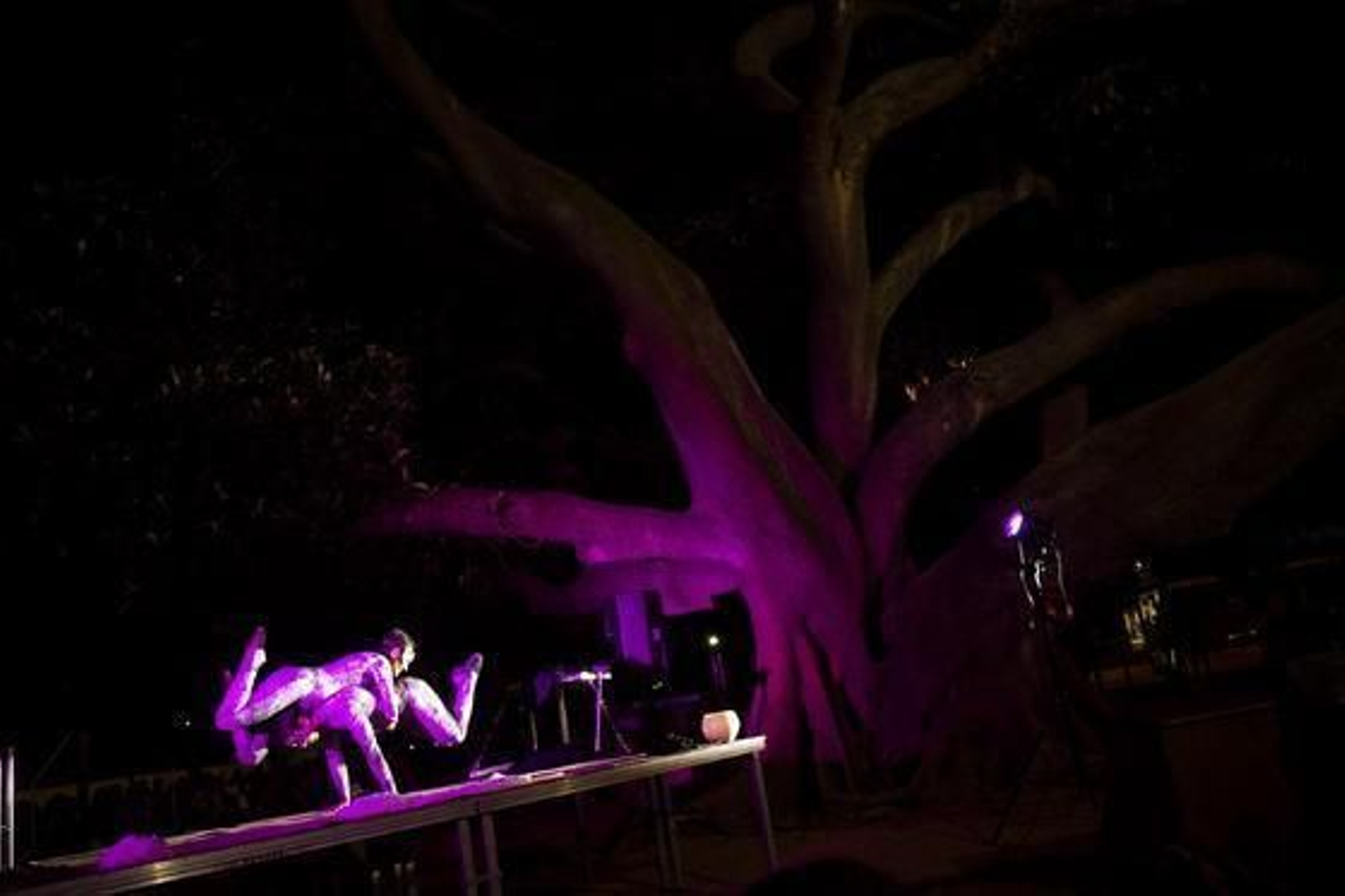 Los gaditanos disfrutan de una noche de cultura ´De sol a sol´. 

Foto: Lourdes de Vicente