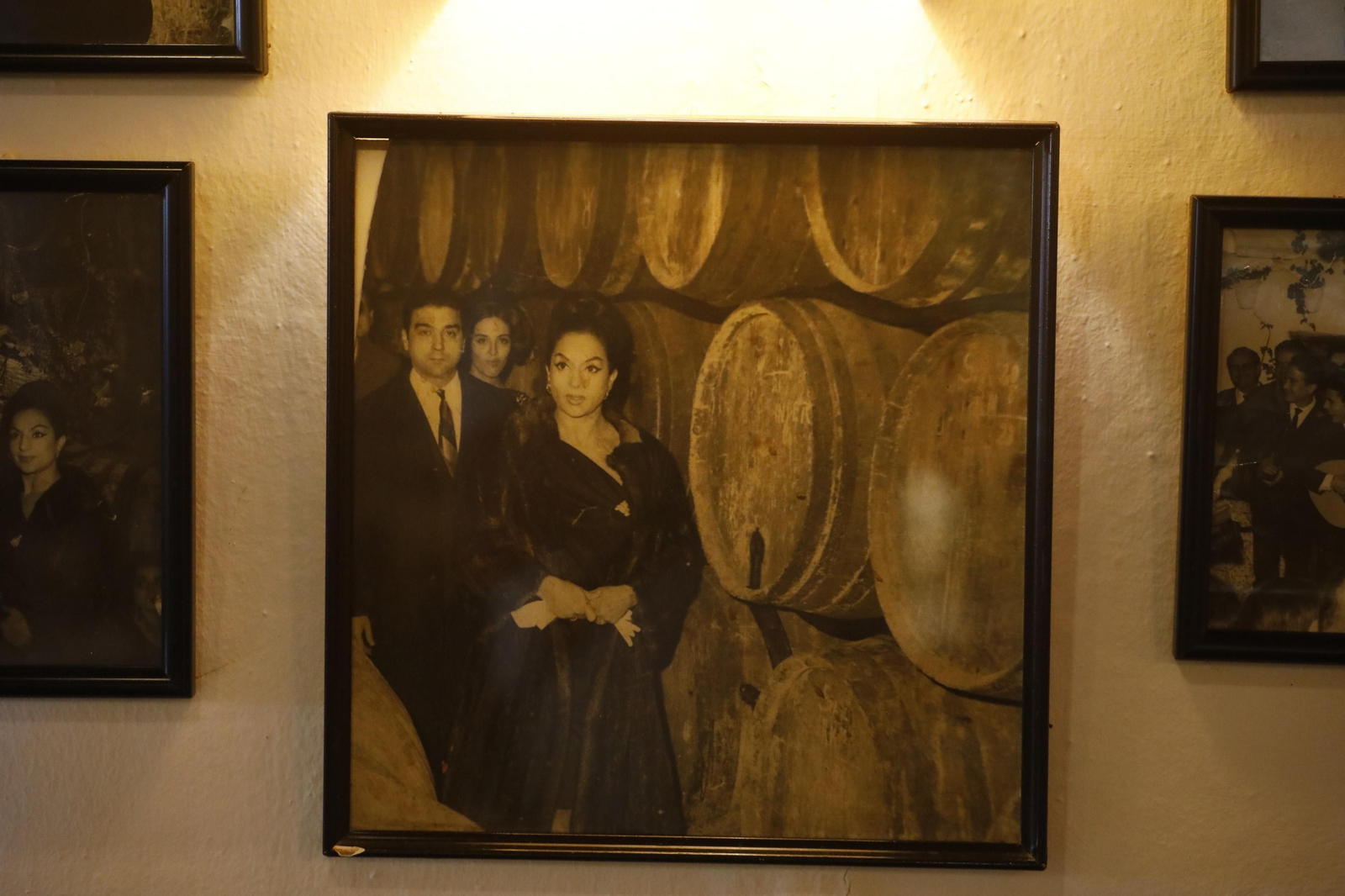 Bodegas Campos, el auténtico museo de la fama de Córdoba, en fotos