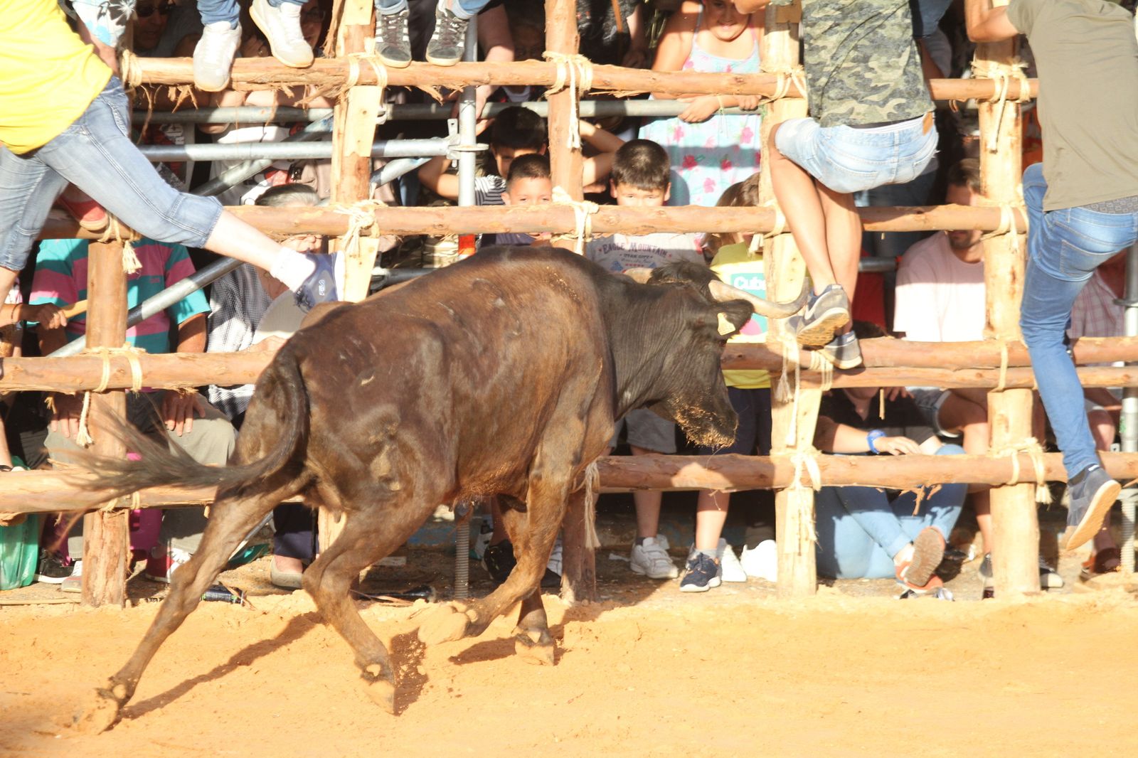Comienzan las capeas en San Juan del Puerto