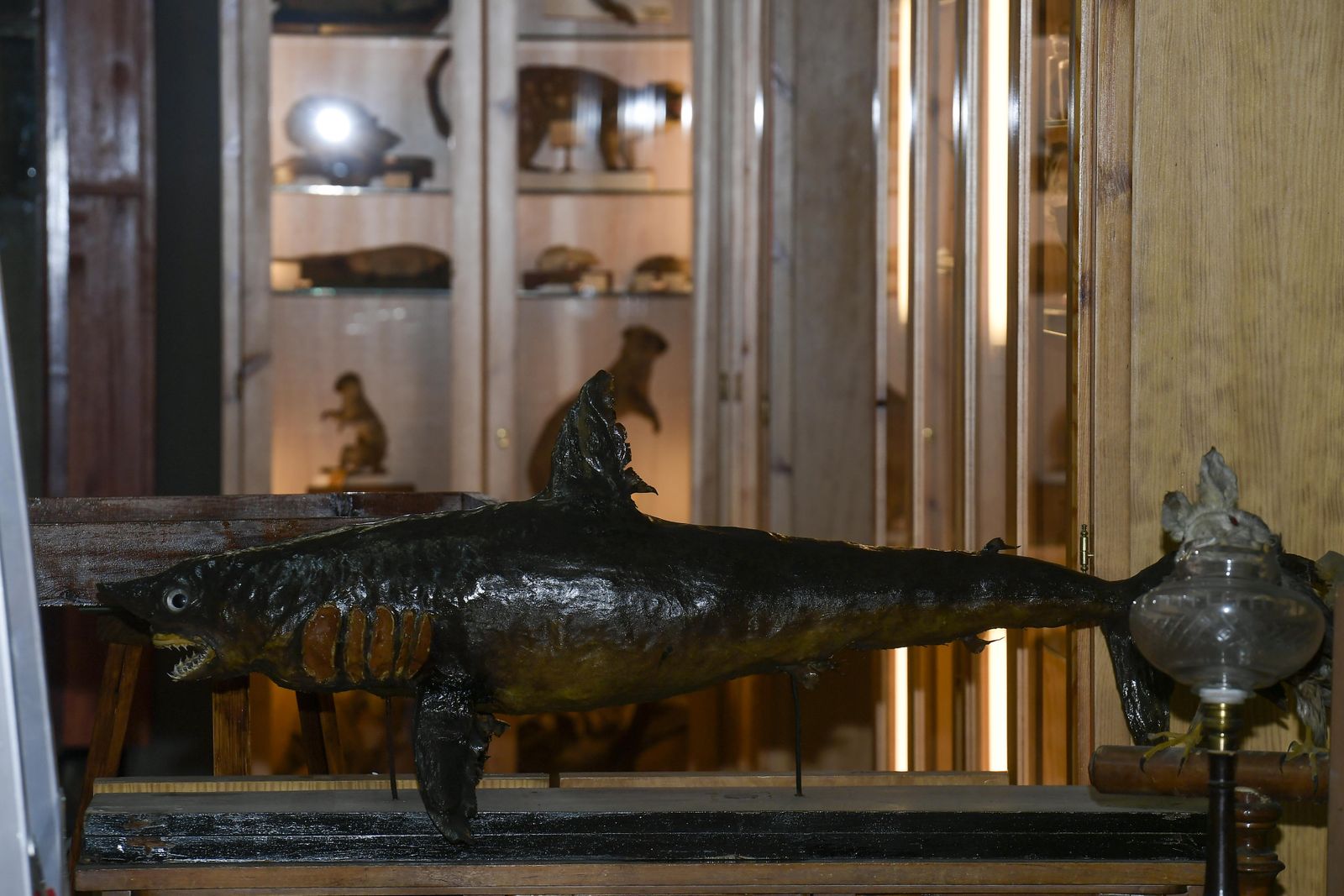 La inauguración del Museo de Ciencia del IES Padre Suárez de Granada, en imágenes