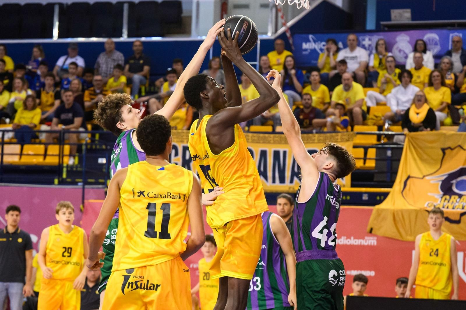 Un gran Unicaja bordea las semifinales en la Minicopa (94-86)