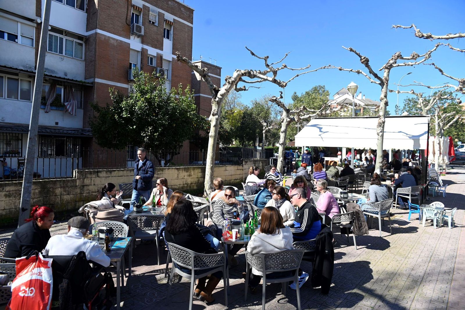 El arranque de la temporada de caracoles en Córdoba, en imágenes