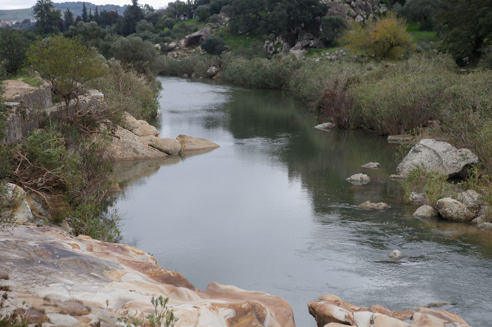 Fotos de las consecuencias de la borrasca Francis en Tesorillo y Jimena