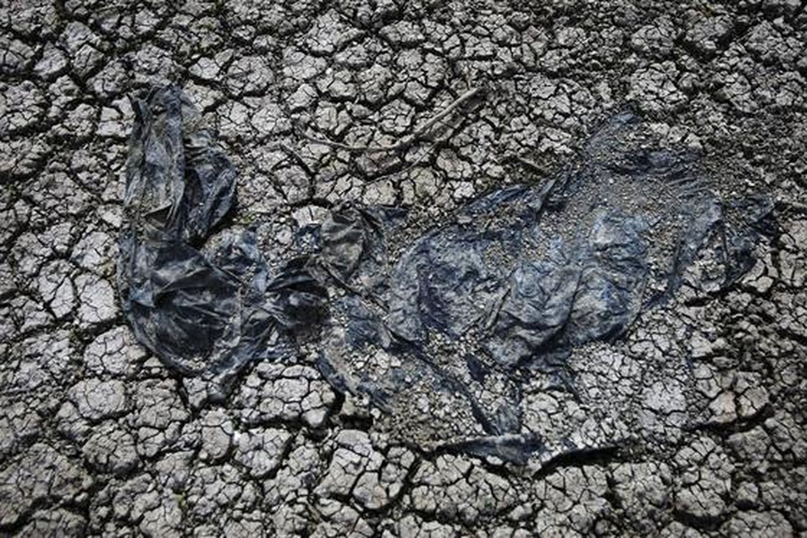 Plástico pegado a la arcilla. 

Foto: Fito Carreto