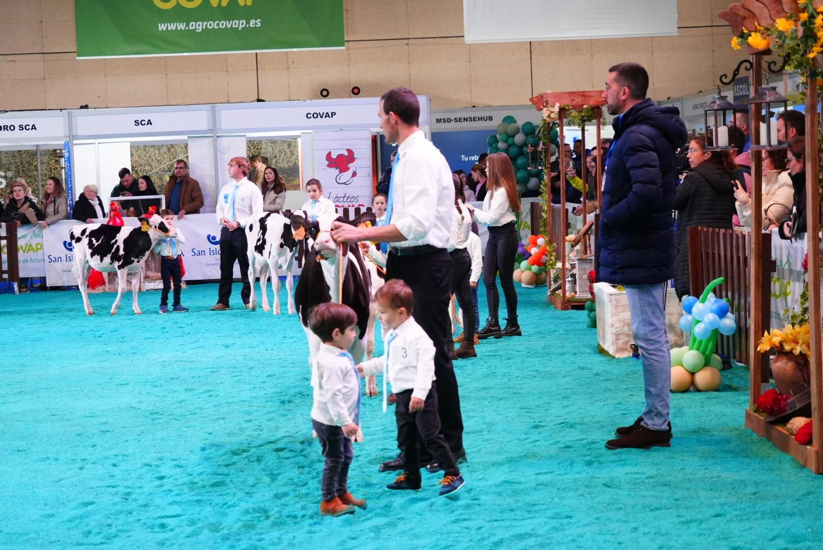 El Gran Campeonato de Novillas de la XVI Feria de Ganado Frisón Usías Holsteins de Dos Torres, en imágenes