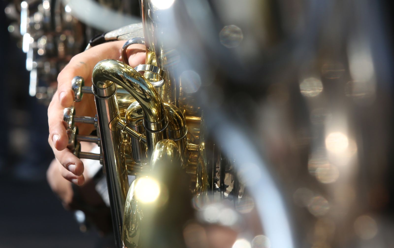 El Perdón en imágenes