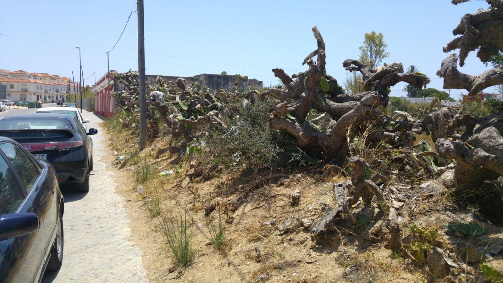 Paleras ubicadas en las inmediaciones de las torres de La Casería.