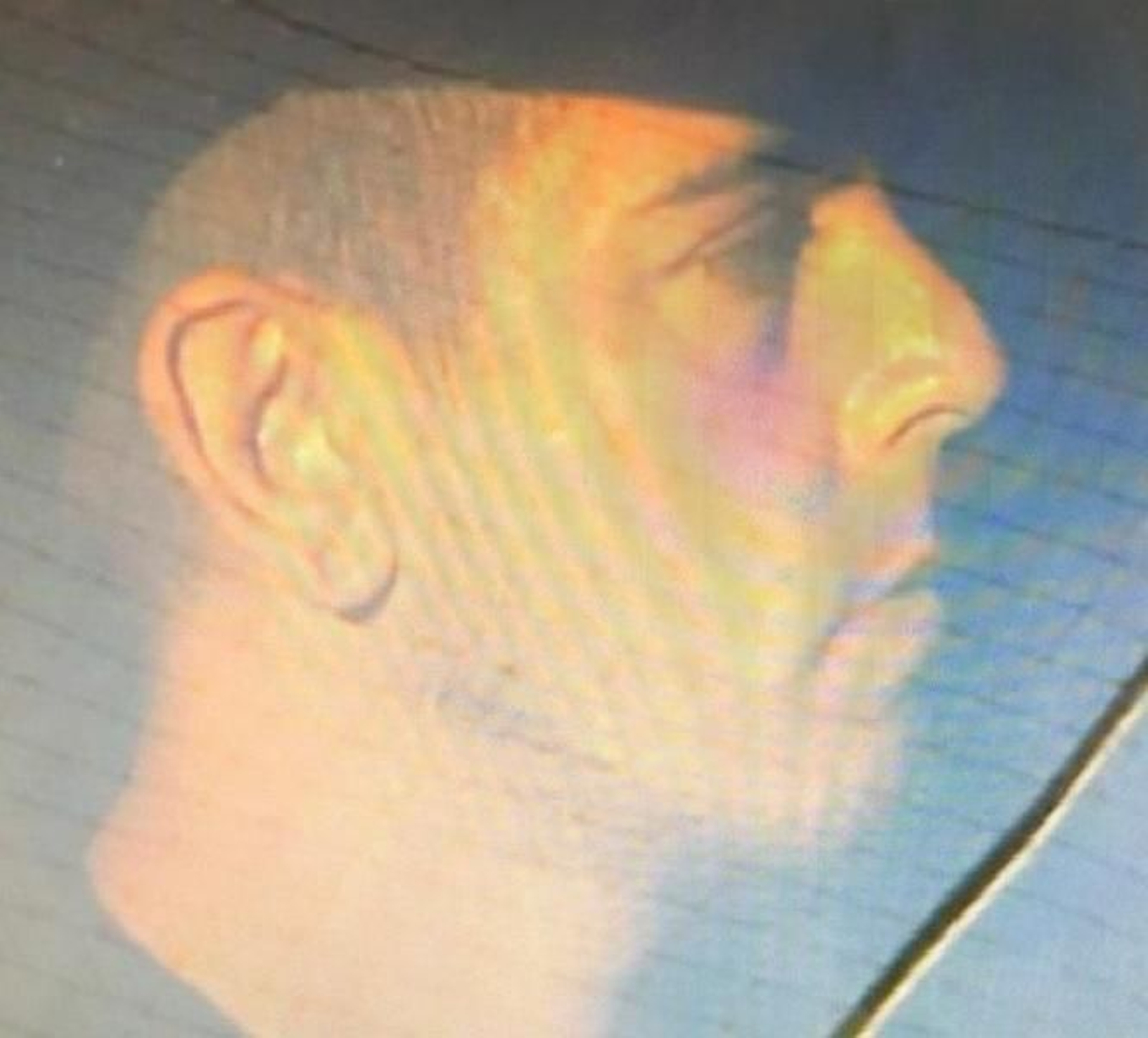 El novio de Dana Leonte llega a los juzgados de Vélez-Málaga