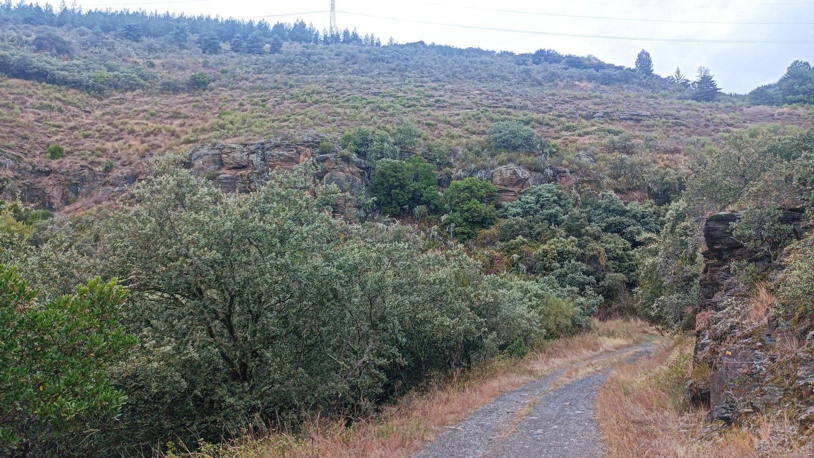 Subida al santuario de la Virgen de la Peña.