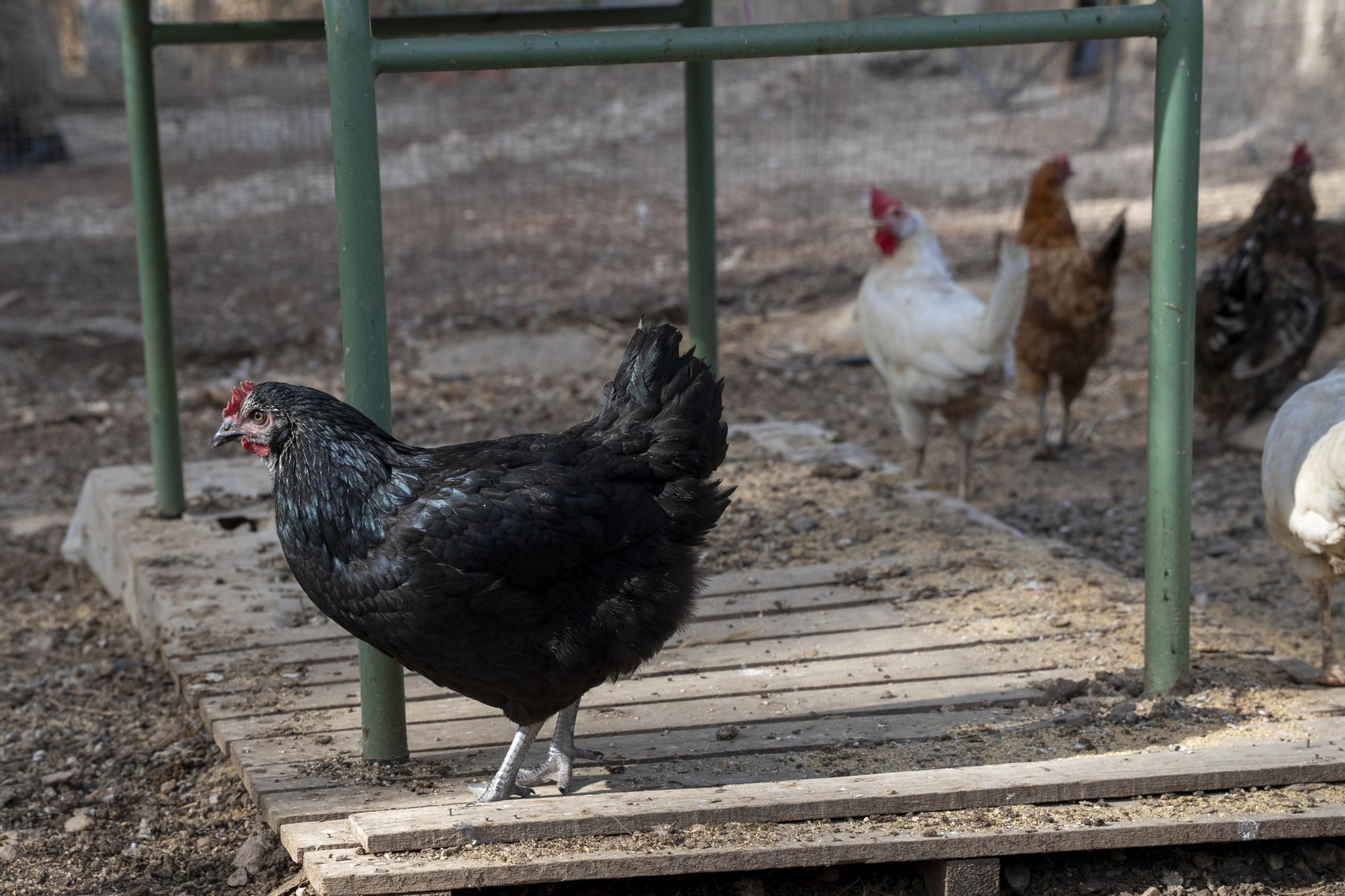 Visitamos el IES Sol de Portocarrero de La Cañada de San Urbano para ver las nuevas infraestructuras para FP en los centros educativos de la provincia de Almería, en imágenes