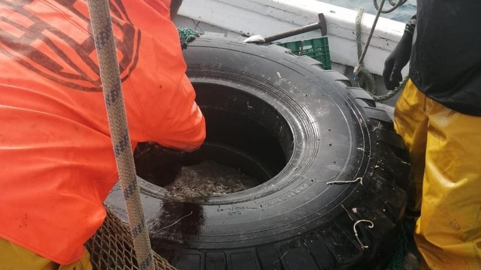 Pescadores de la OPP71 de Almería inmersos en el proyecto Mares Circulares para limpiar los fondos marinos Pescadores de la OPP71 de Almería inmersos en el proyecto Mares Circulares para limpiar los fondos marinos