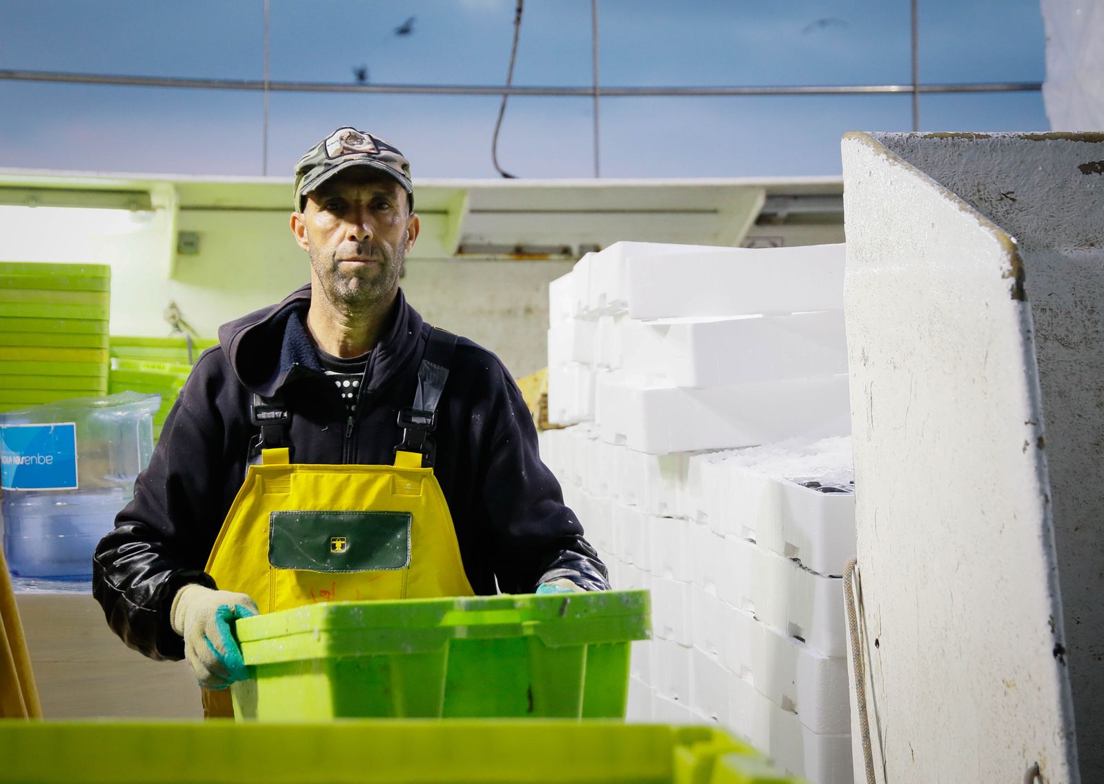 Te contamos en imágenes como ha sido la descarga de las traiñas en la lonja de Almería