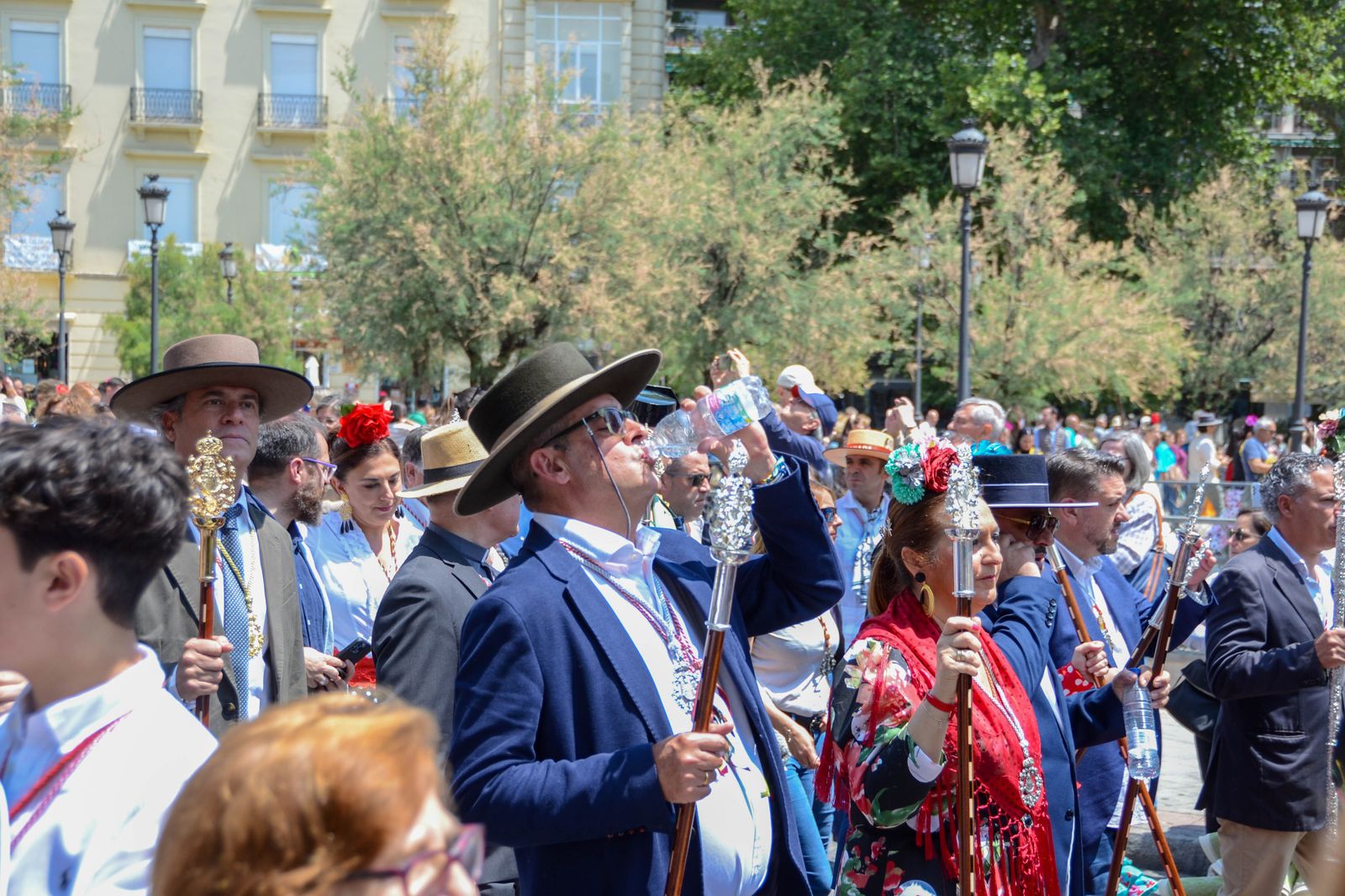 La salida de la Hermandad del Rocío de Granada, en imágenes