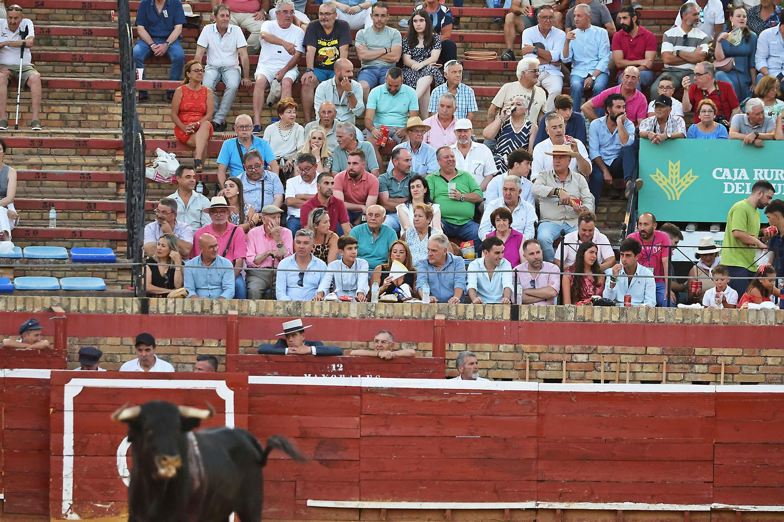 Toros La Merced 2024 Novillada con picadores(