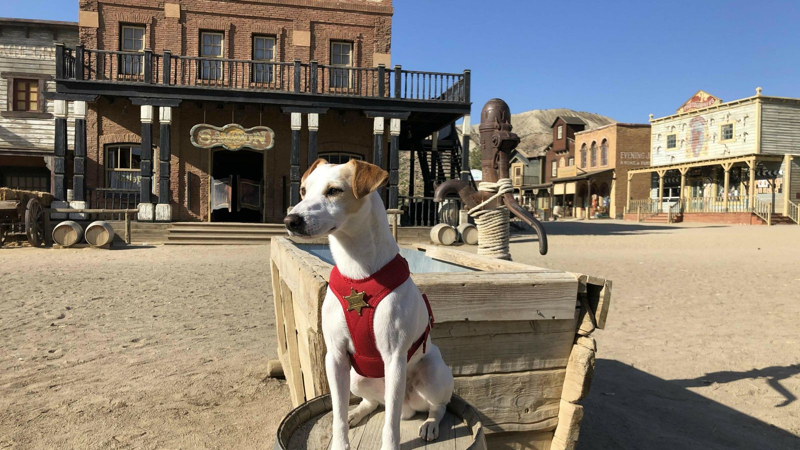 Pipper visitó el Parque Temático Oasys MiniHollywood.