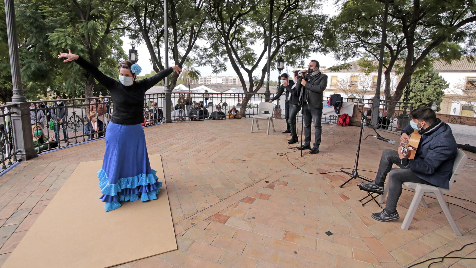 Las mejores imágenes del Flashmob flamenco de Afanas