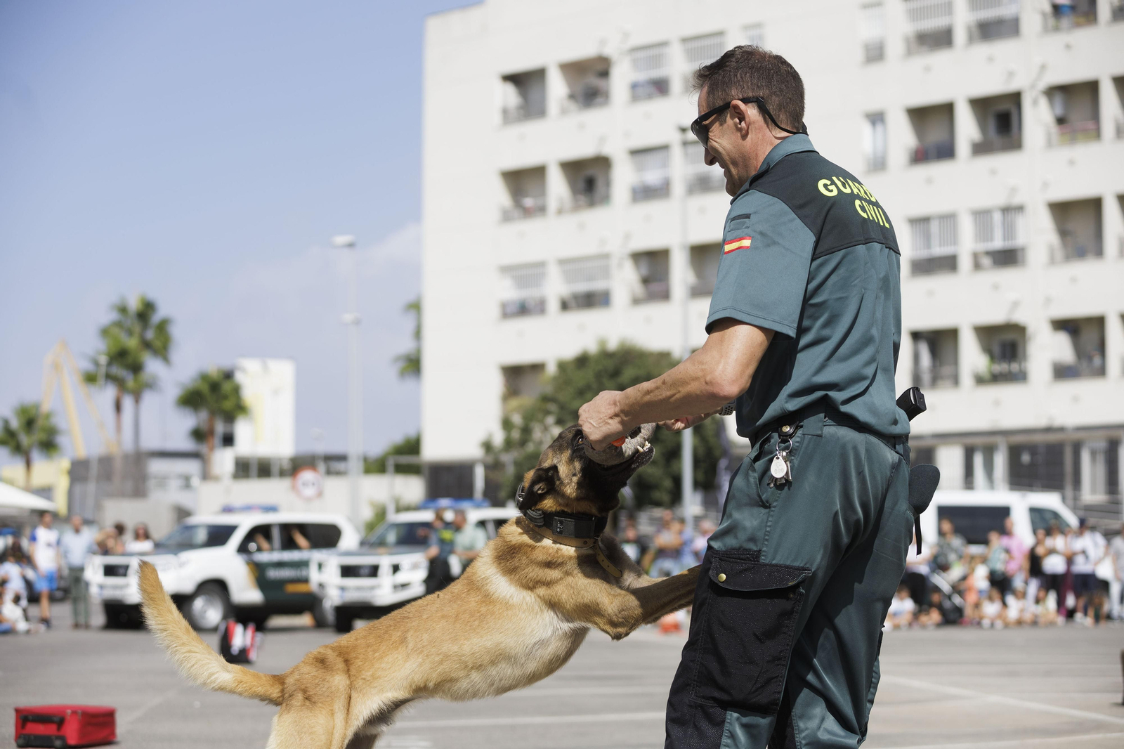 Todas las imágenes de la Jornada de Puertas Abiertas en la Guardia Civil de Cádiz