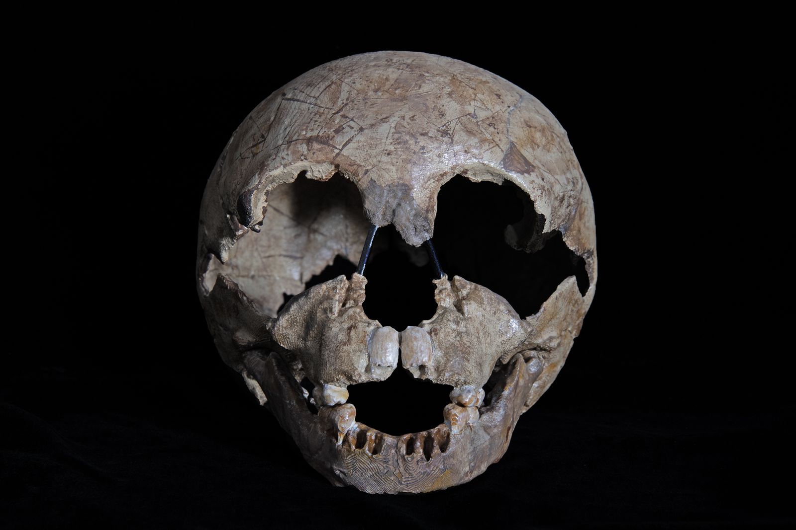 El cráneo de neandertal hallado en 1926.