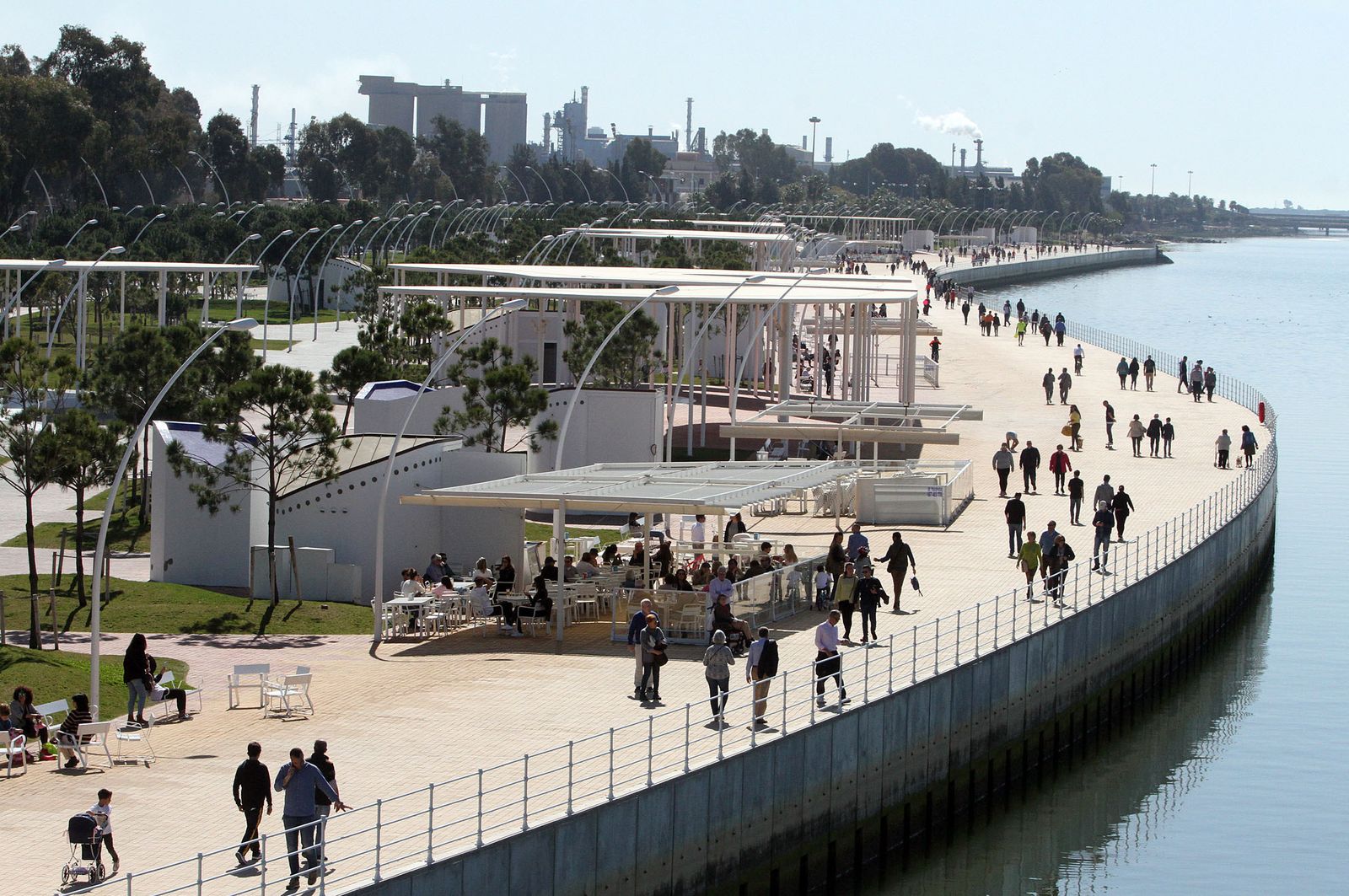 Ambiente primaveral en el día de Andalucía, en imágenes