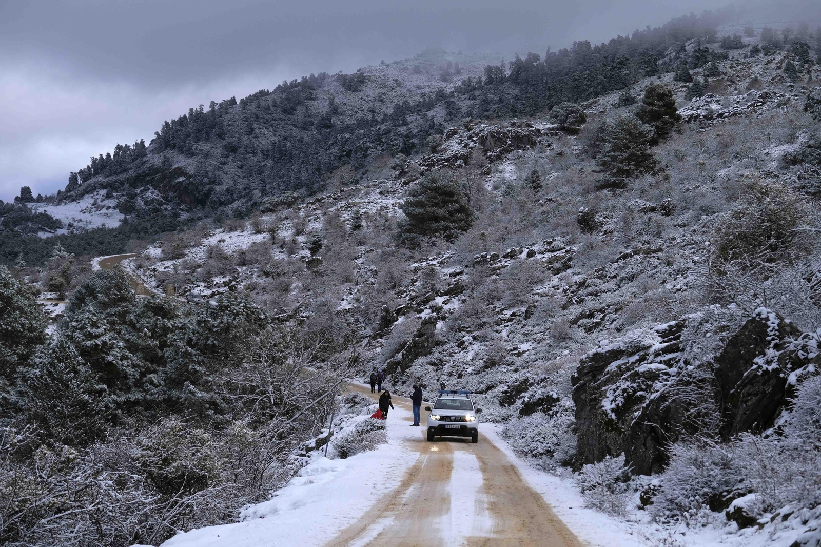 Nevada en la Serranía de Ronda, en fotos.