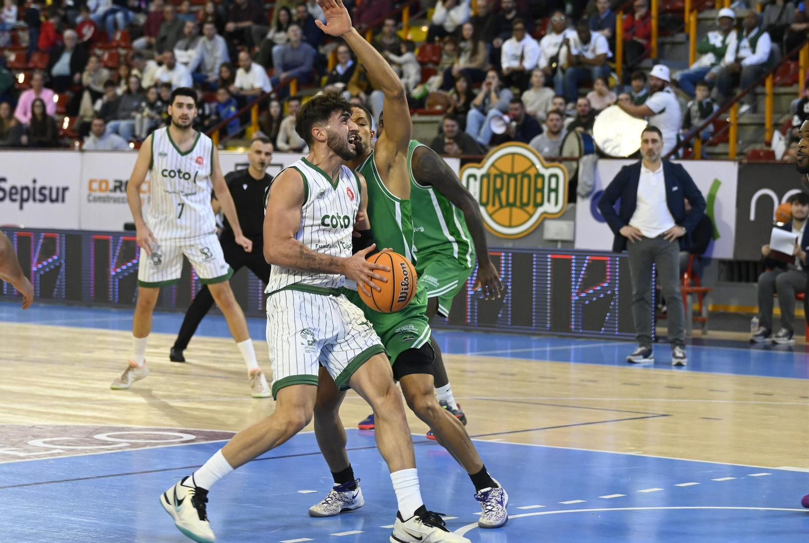 Las mejores fotos del ambiente en el Coto Córdoba - Cáceres Patrimonio de la Humanidad