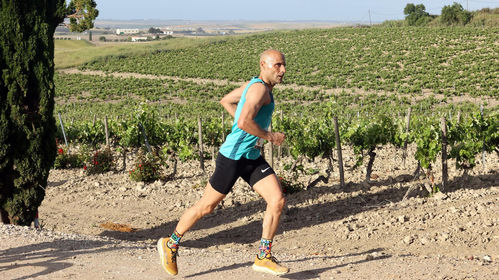 Búscate en la Sherry Maratón 2025 de Jerez (I)