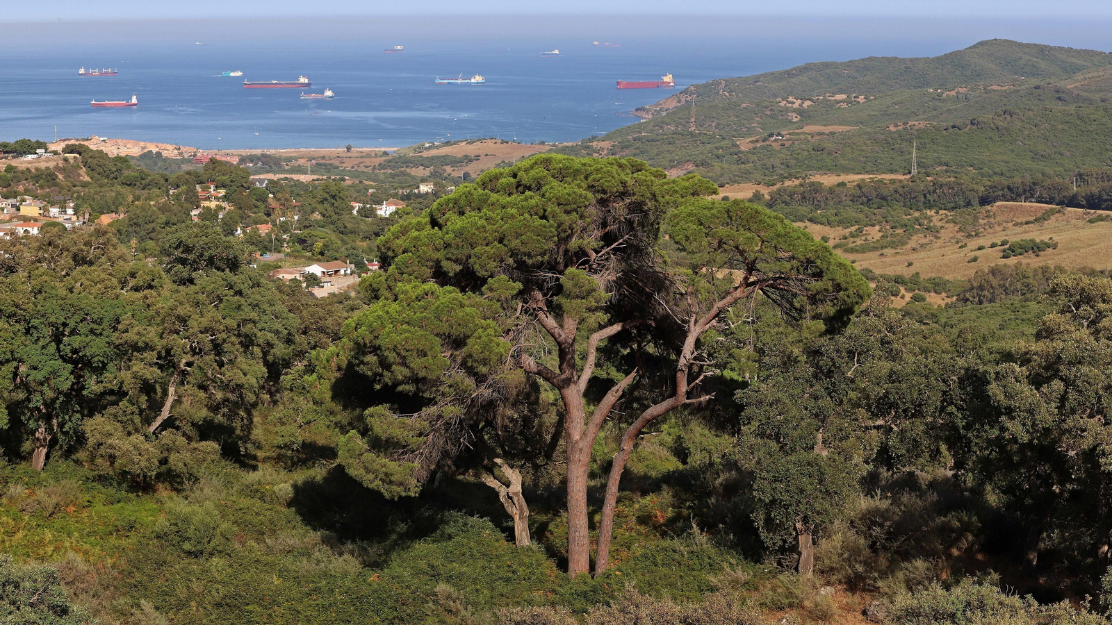 Las mejores fotos de la Senda de los Prisioneros en Algeciras