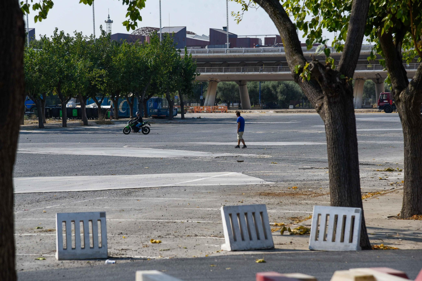 Imágenes del estado de la Cartuja el día antes del Betis - Alavés