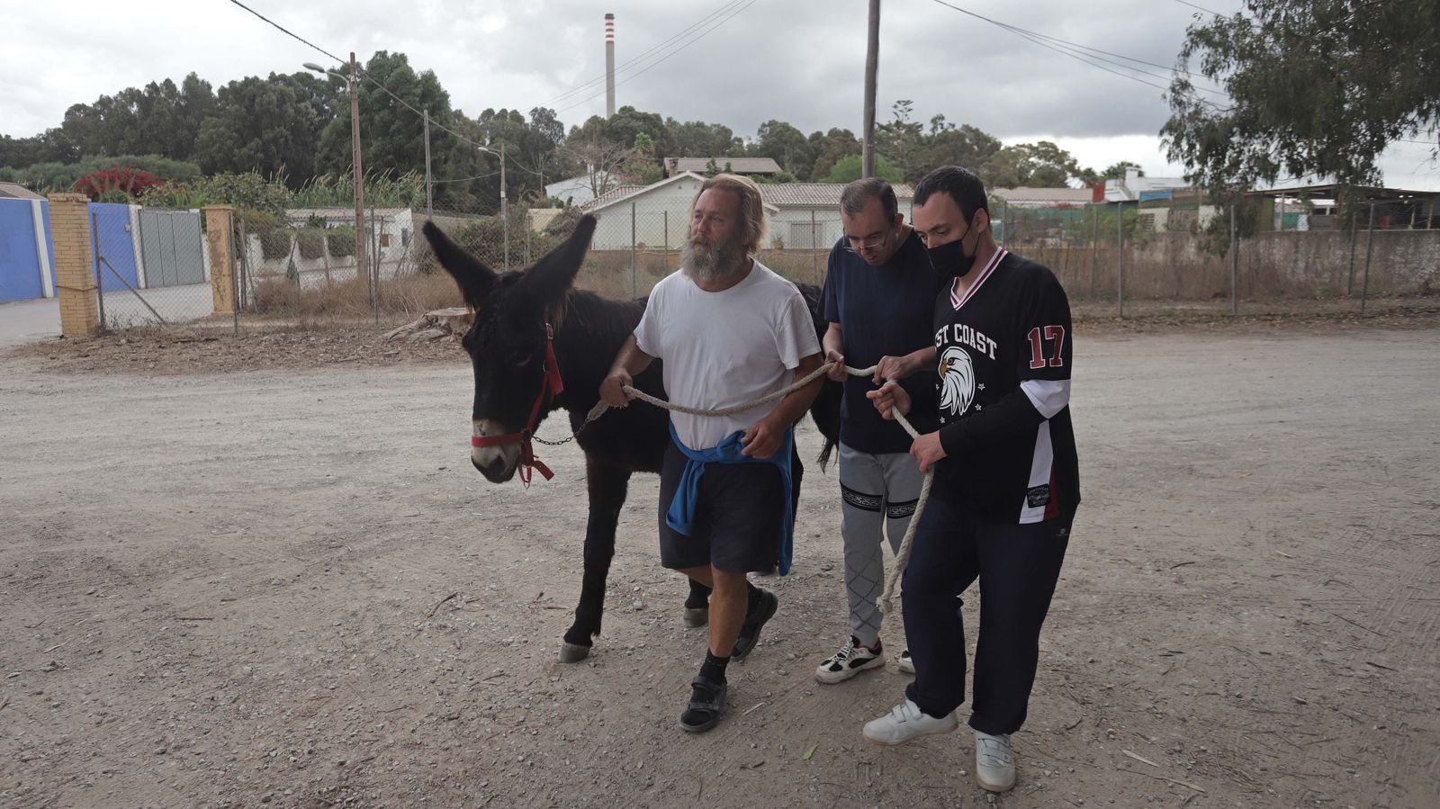 Sesión  de burroterapia con usuarios de Asansull en Palmones