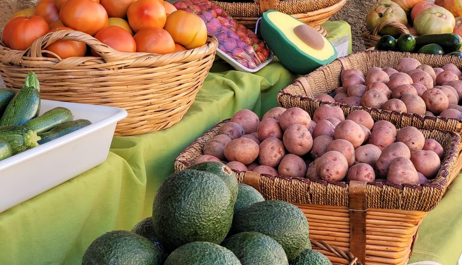 Imagen de archivo de los productos ecológicos del Ecomercado de Los Toruños