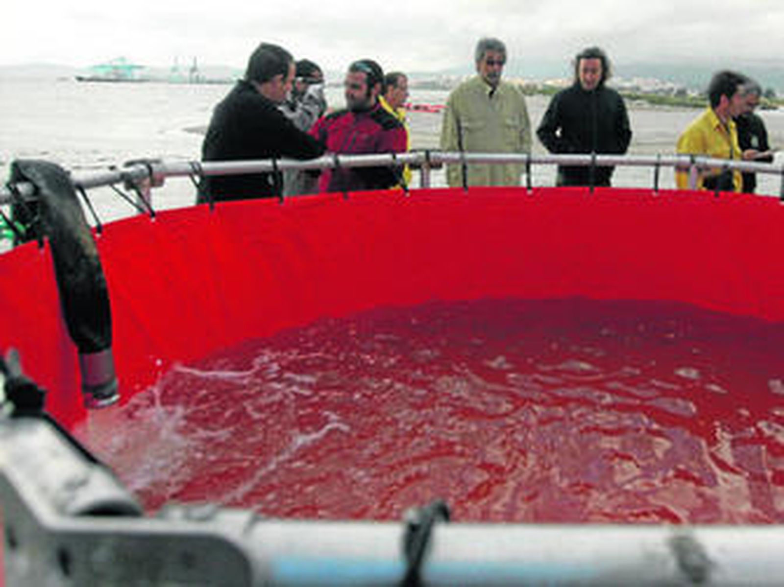 Sincronía contra una marea negra