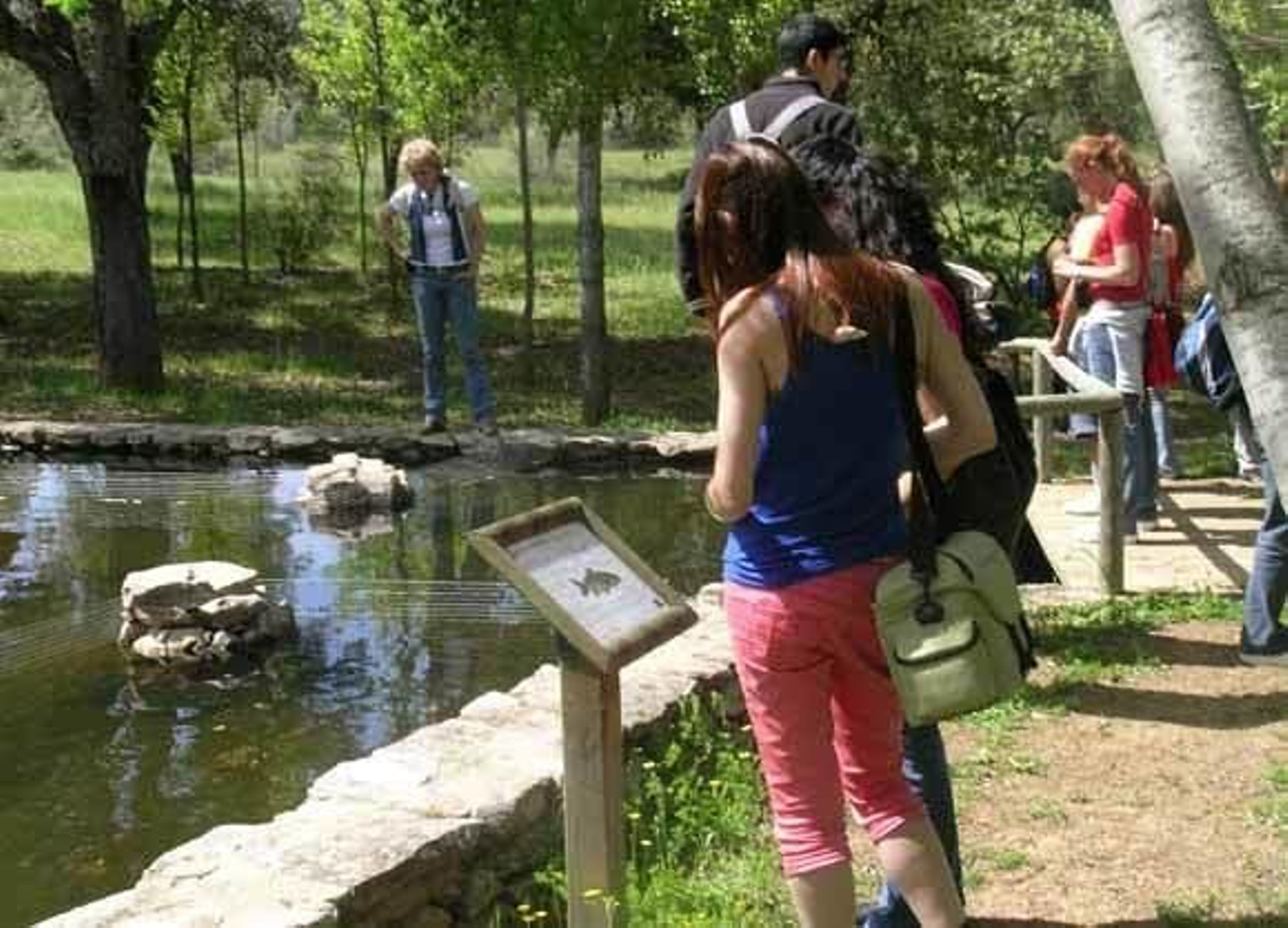 Naturaleza al alcance de la mano