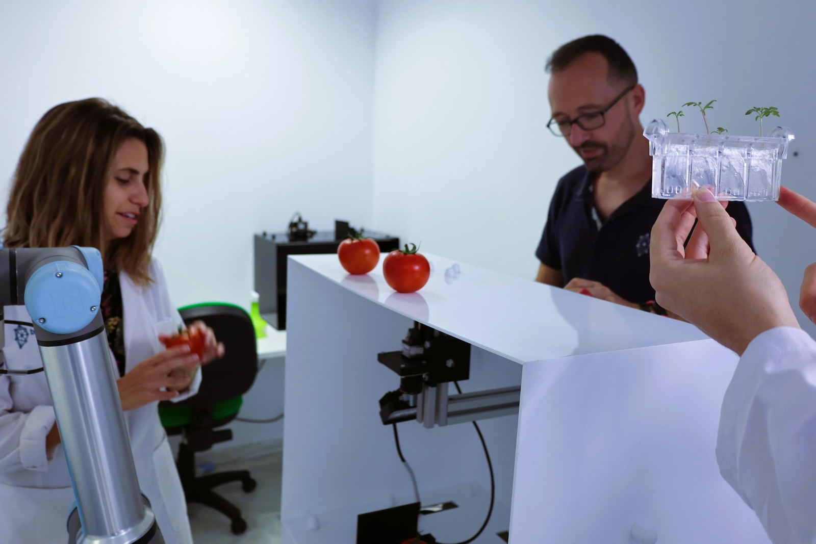 Investigadores del Grupo Beyond Seeds analizando los resultados de fenotipado de tomate.