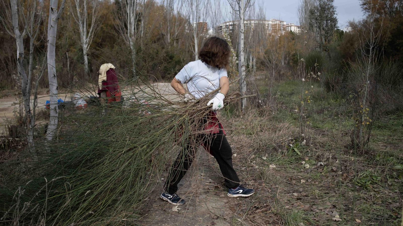 Voluntarios despejando caminos Voluntarios despejando caminos