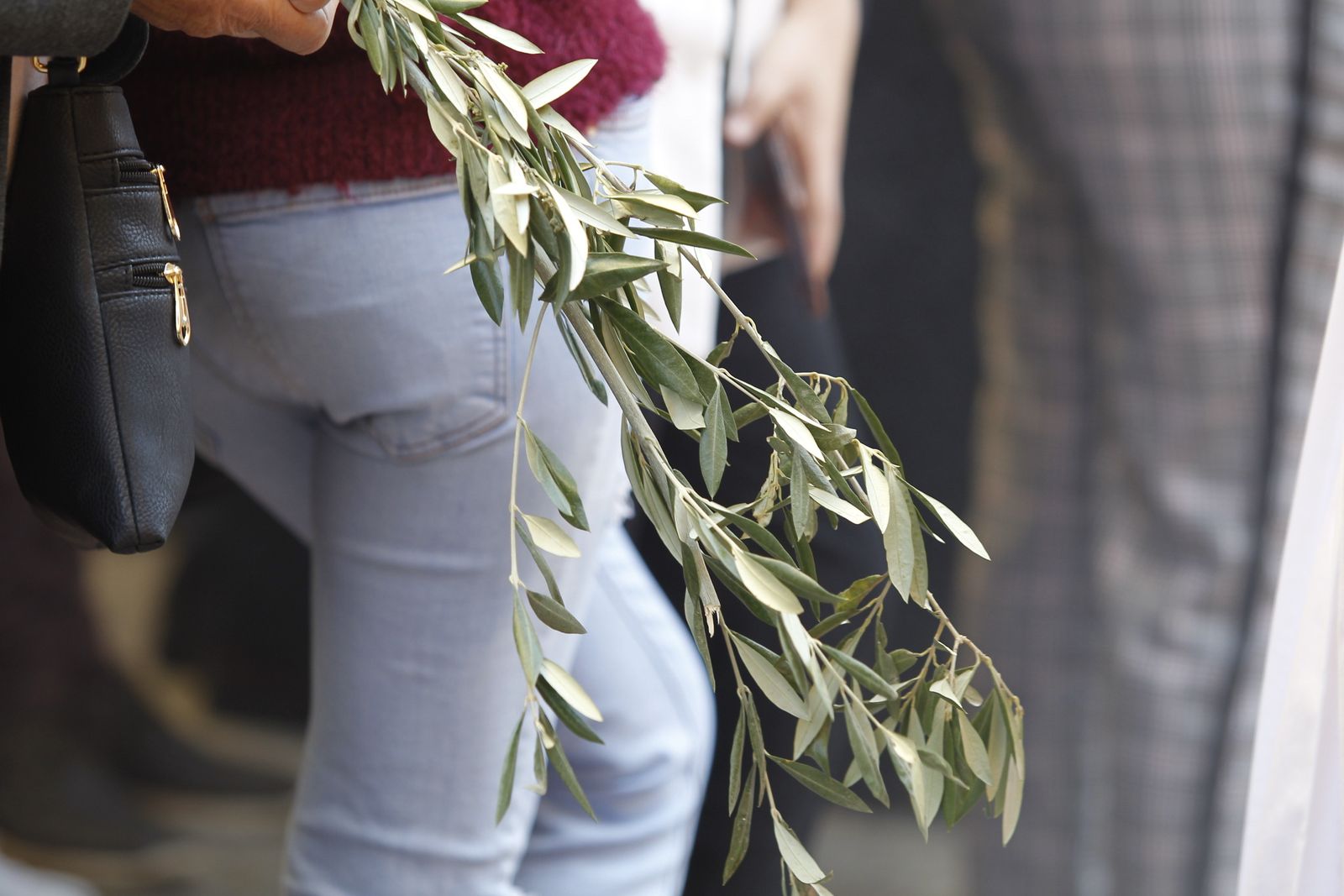 Imágenes Procesión de la Borriquita de Almería capital. Semana Santa 2019