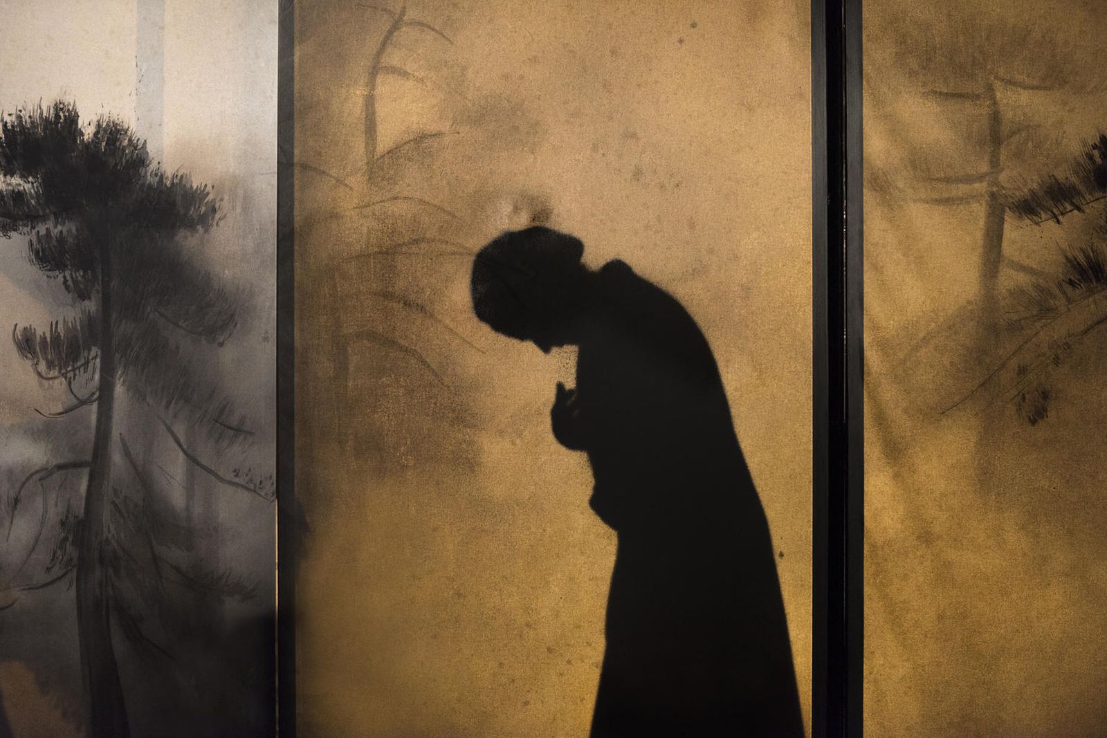 Una de las imágenes que puede visualizarse en la exposición.