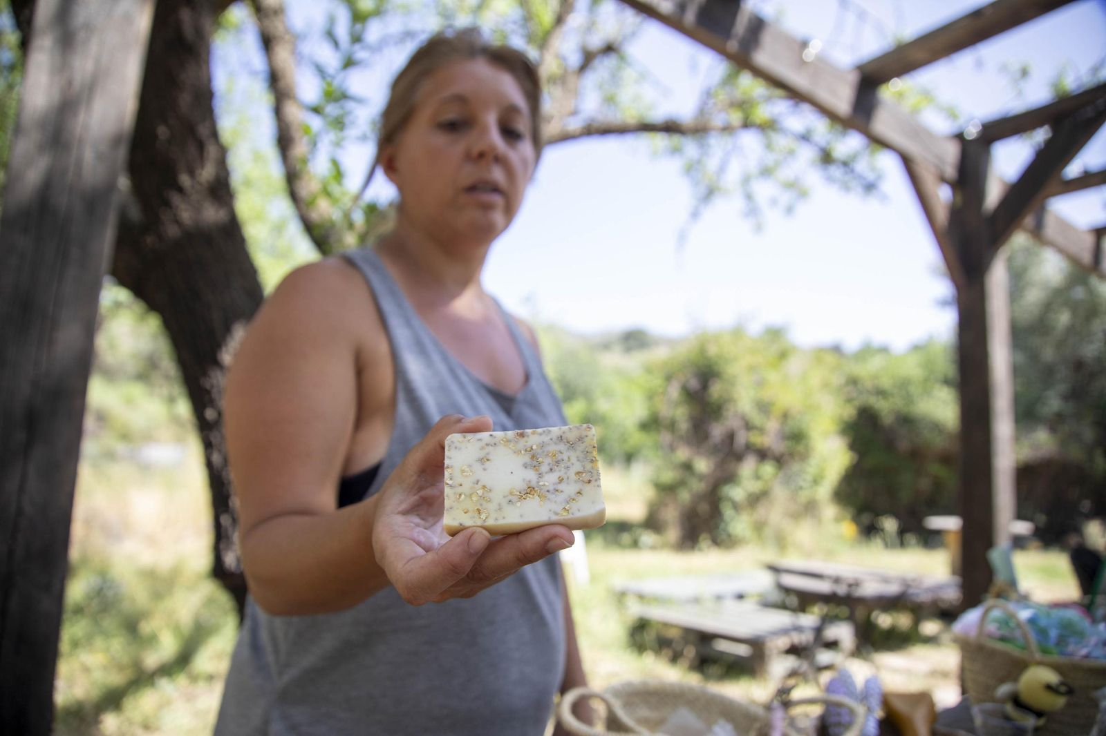 El jardin de lavandas en Benecid
