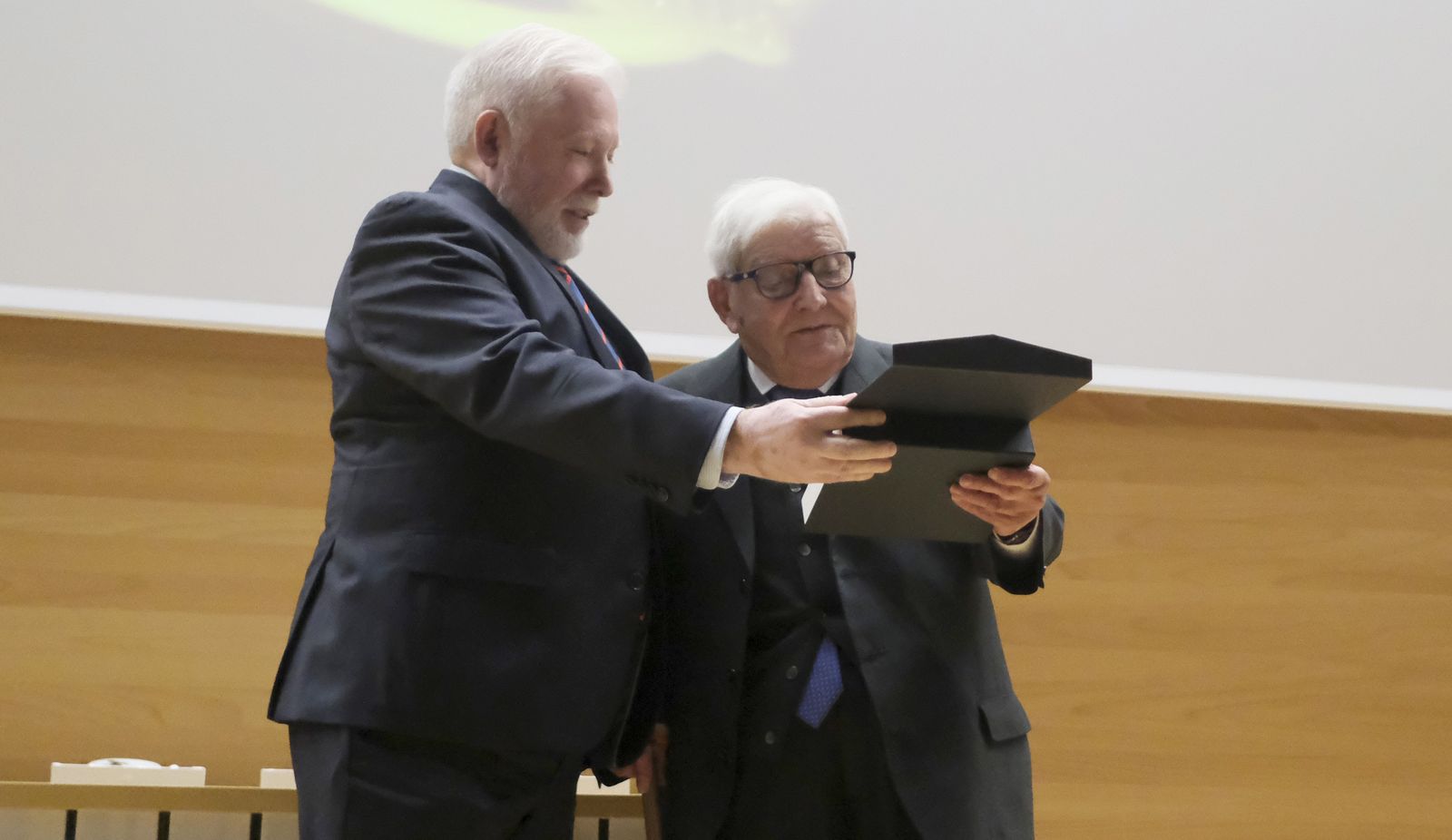 La entrega de medallas extraordinarias de las Peñas de Córdoba, en fotografías