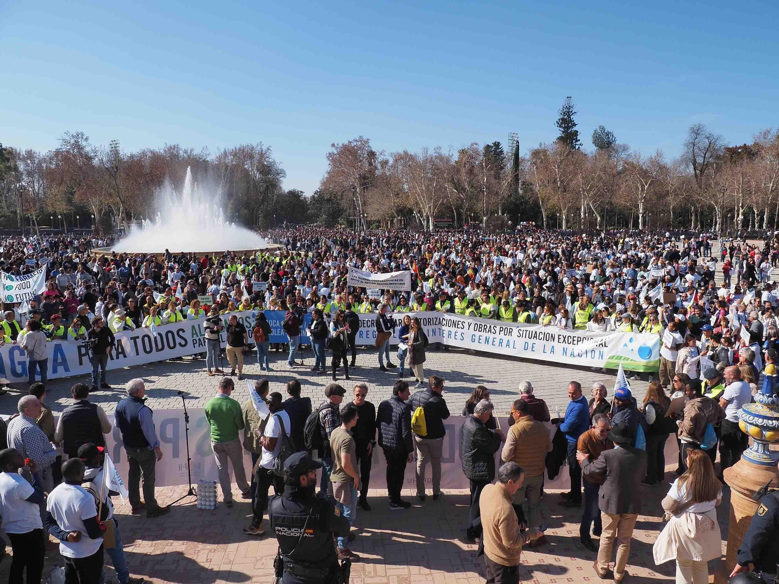 Movilización del 1 de febrero en Sevilla convocada por las organizaciones agrarias de Huelva.