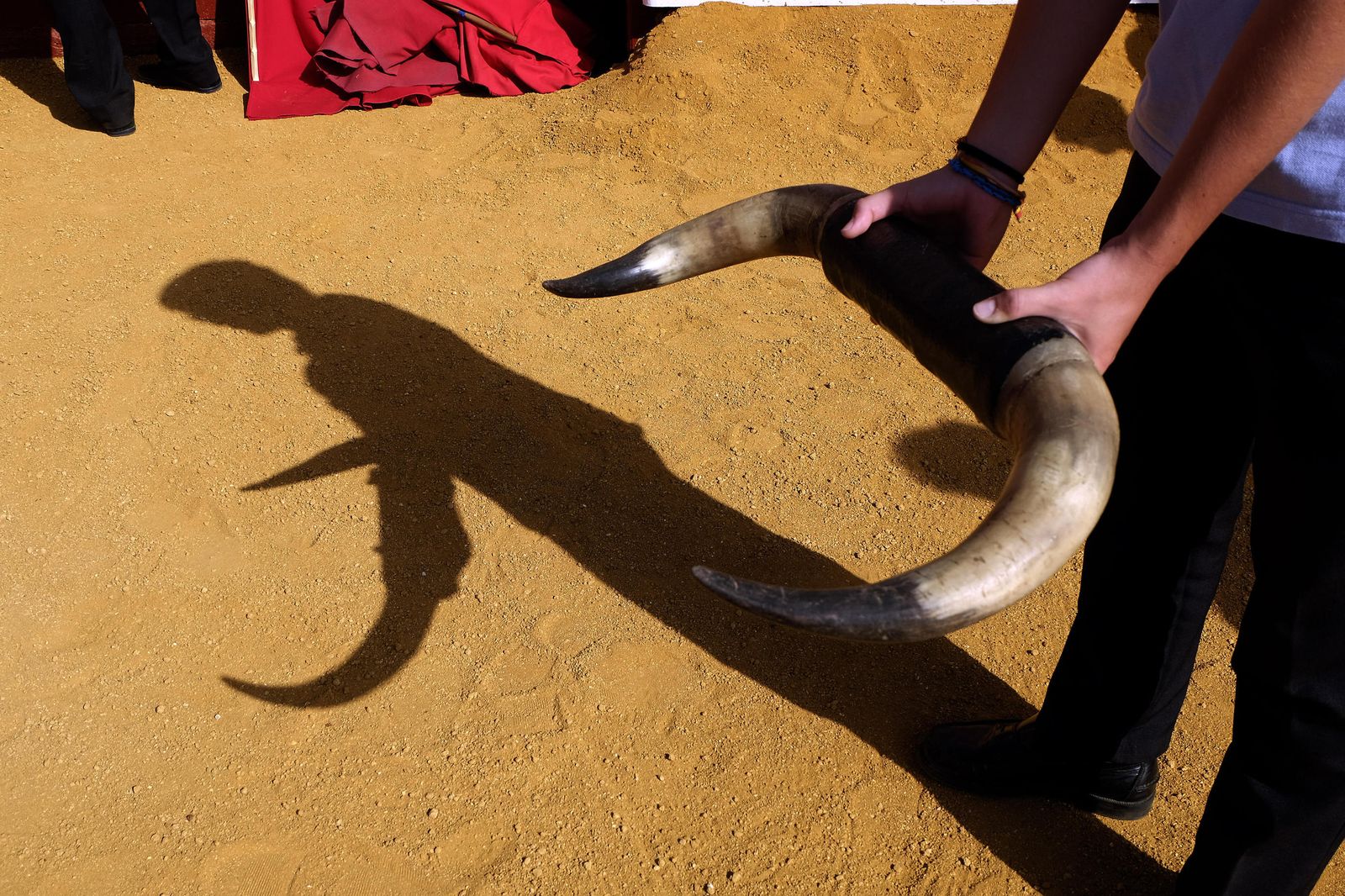 El taller de toreo en la Maestranza, en imágenes