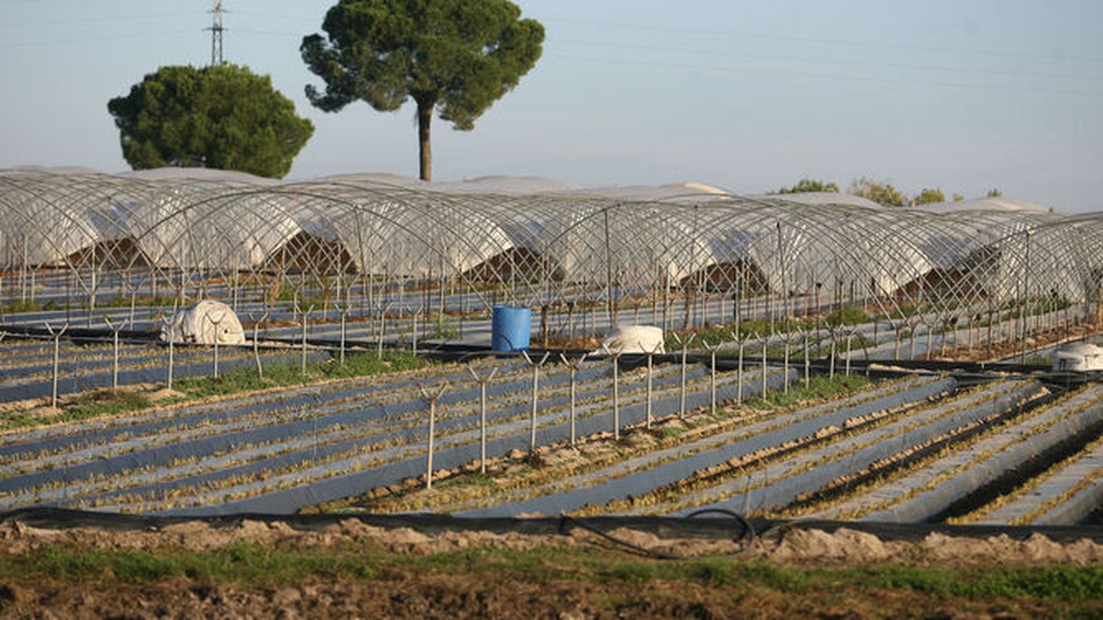 Extracción de agua de acuíferos.