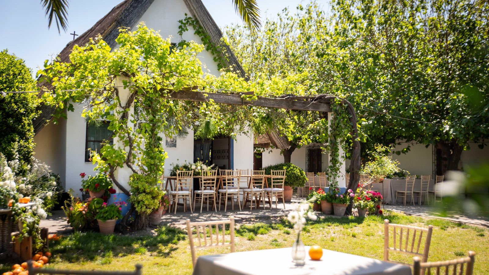 Barraca a los pies de la laguna del Parque Natural de la Albufera