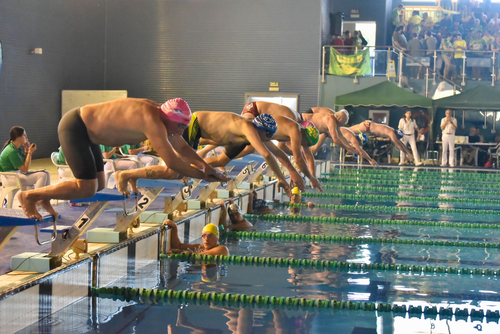 Las fotos del Campeonato de Natación Master en Los Barrios