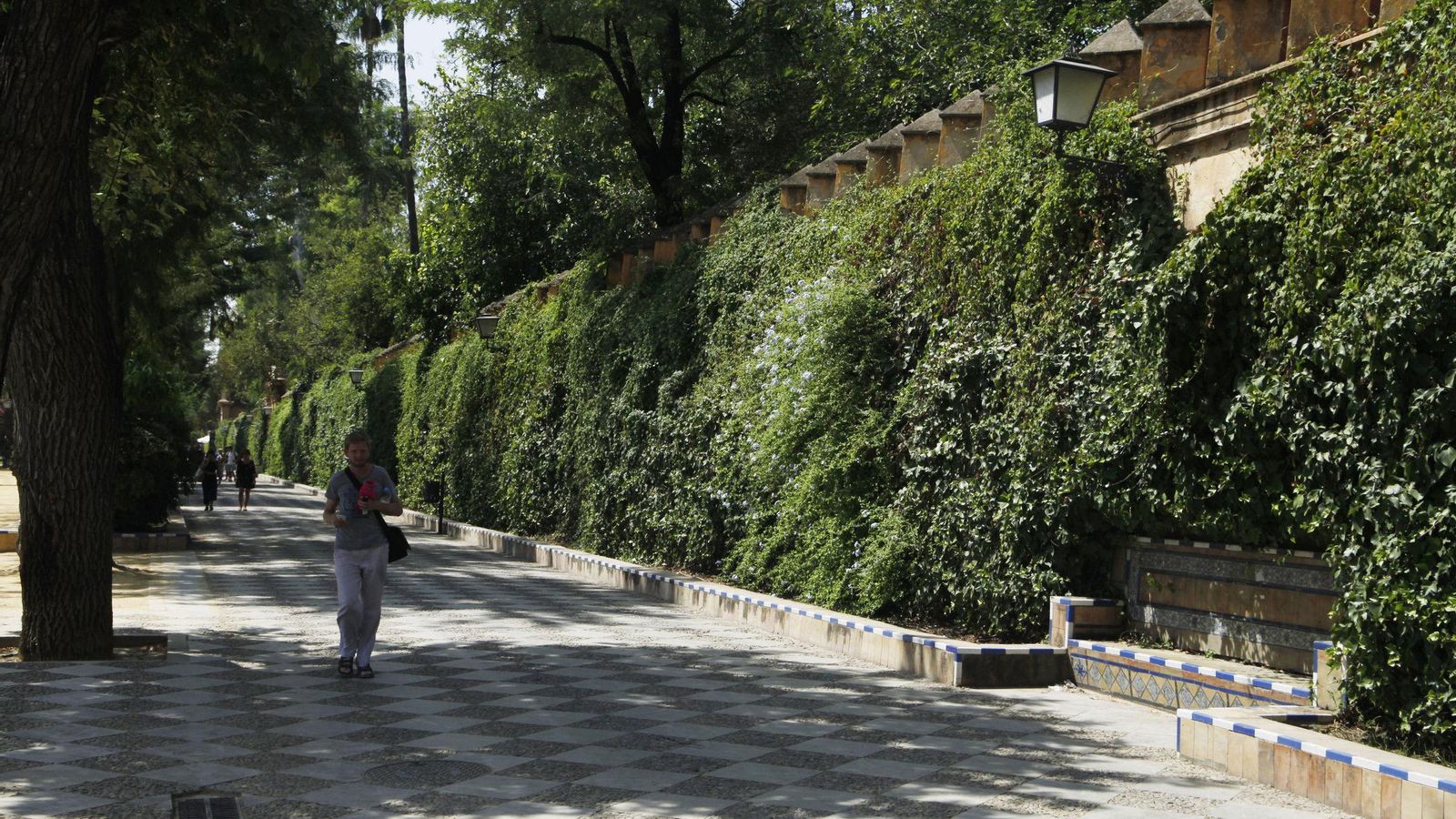 La tapia que separa el paseo de los jardines de Murillo del Real Alcázar