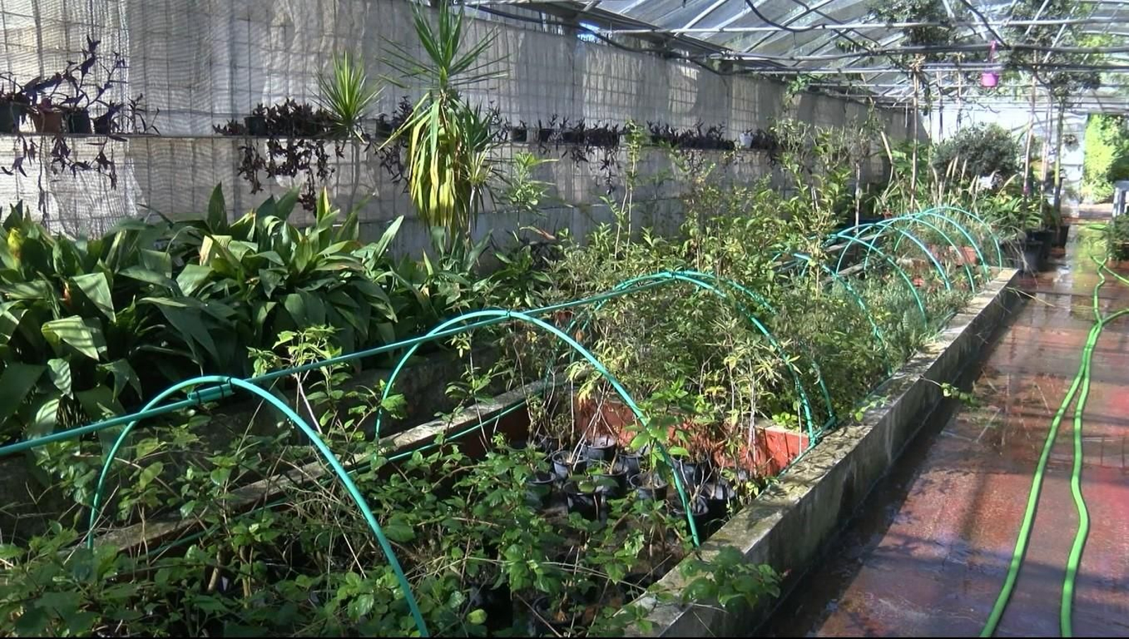 Vivero Municipal de Puerto Real