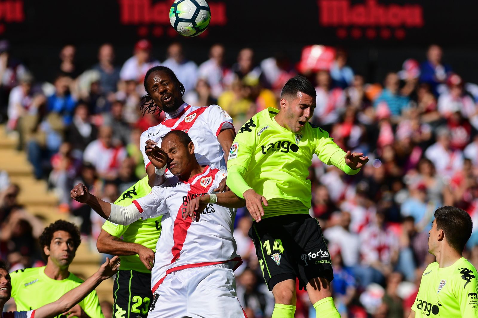 Las imágenes de la victoria del Córdoba ante el Rayo (1-2)