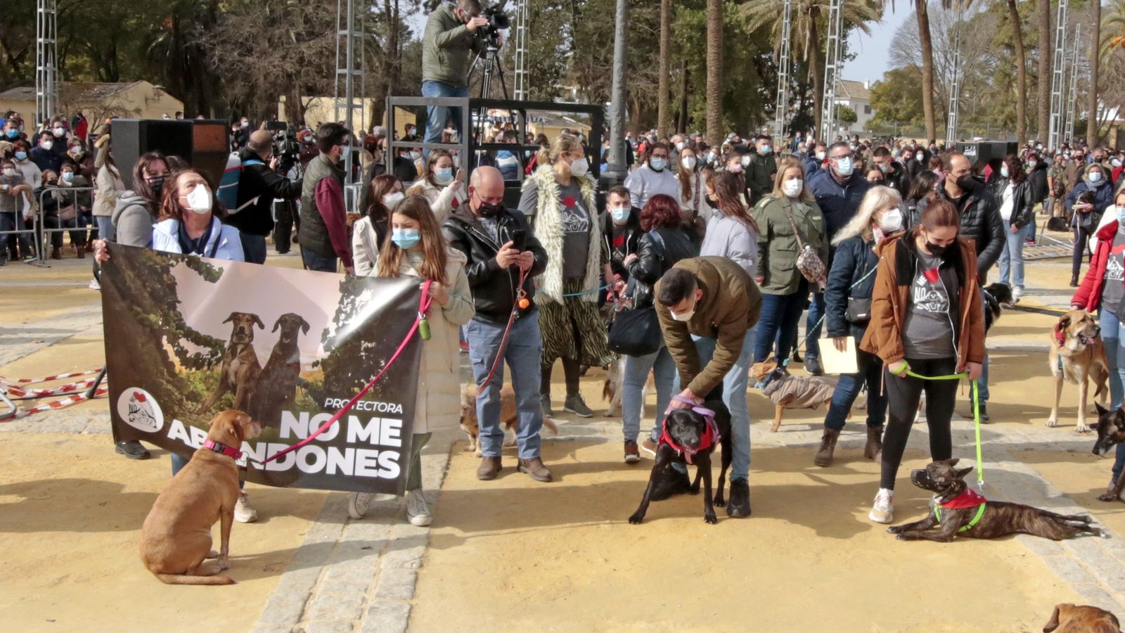 Imágenes de la 'Fiesta de San Antón 2022'