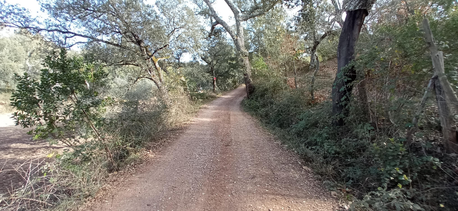 Las imágenes de la ruta de la Dehesa de Valdelama: De Los Marines a Fuenteheridos y vuelta