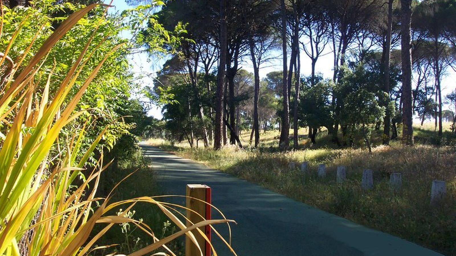 Vía Verde Los Molinos de Agua